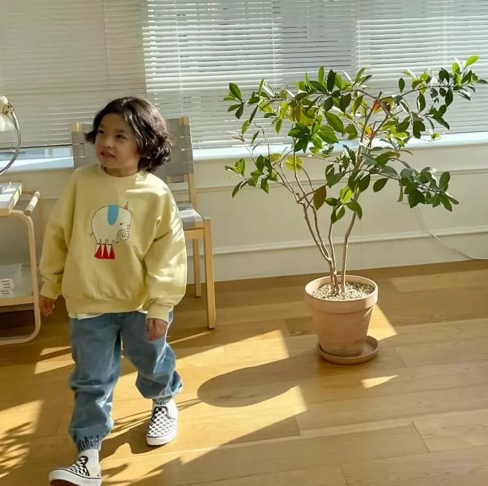 Garden - Korean Children Fashion - #childofig - Elephant Sweatshirt - 2