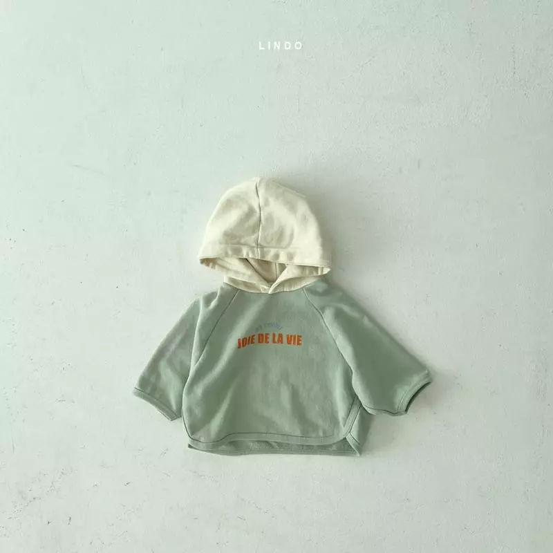 Lindo - Korean Children Fashion - #childrensboutique - Yarm Yarm Color Hoody