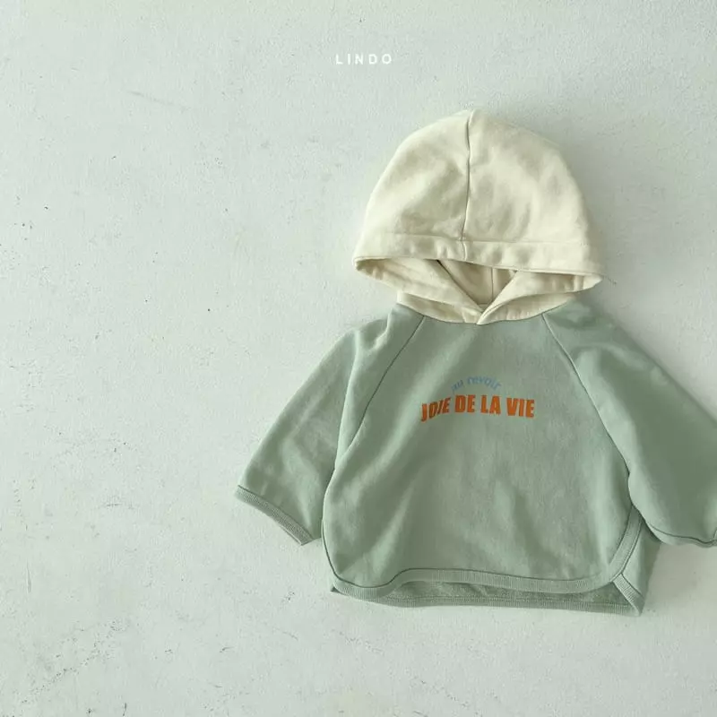Lindo - Korean Children Fashion - #discoveringself - Yarm Yarm Color Hoody - 3