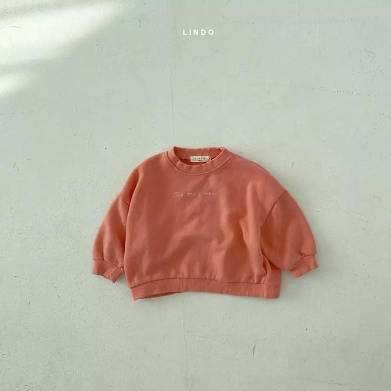 Lindo - Korean Children Fashion - #kidsstore - Lettering Sweatshirt
