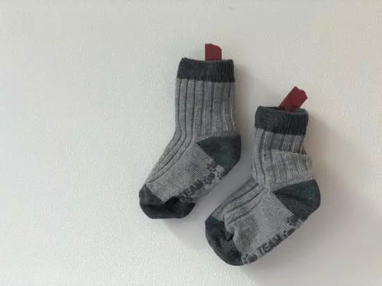 Teamand - Korean Children Fashion - #kidzfashiontrend - Color Rib Socks [set of 5] - 2