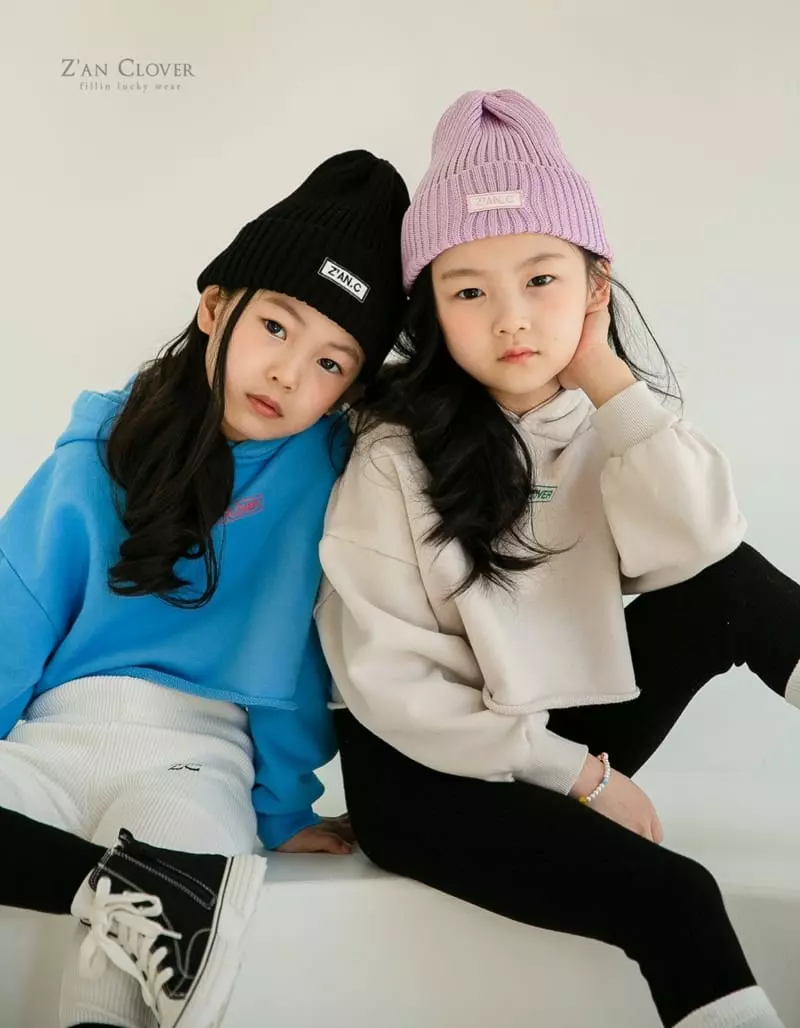 Zan Clover - Korean Children Fashion - #toddlerclothing - Crop Hoody - 9