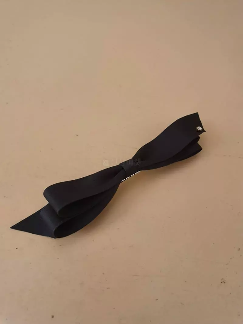 Blancchouette - Korean Women Fashion - #momslook - Czech Ribbon Hair Pin - 3