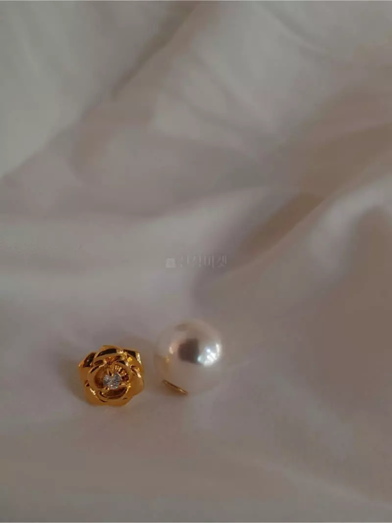 Blancchouette - Korean Women Fashion - #pursuepretty - Jennie Earring - 2