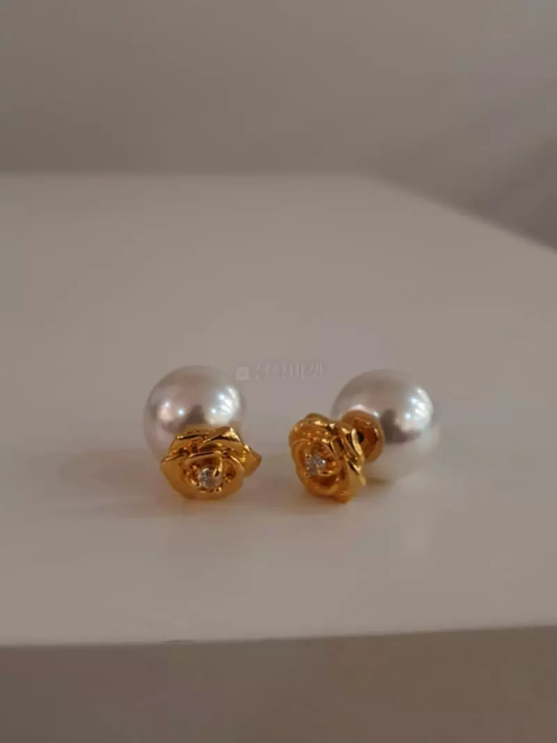 Blancchouette - Korean Women Fashion - #vintagekidsstyle - Jennie Earring