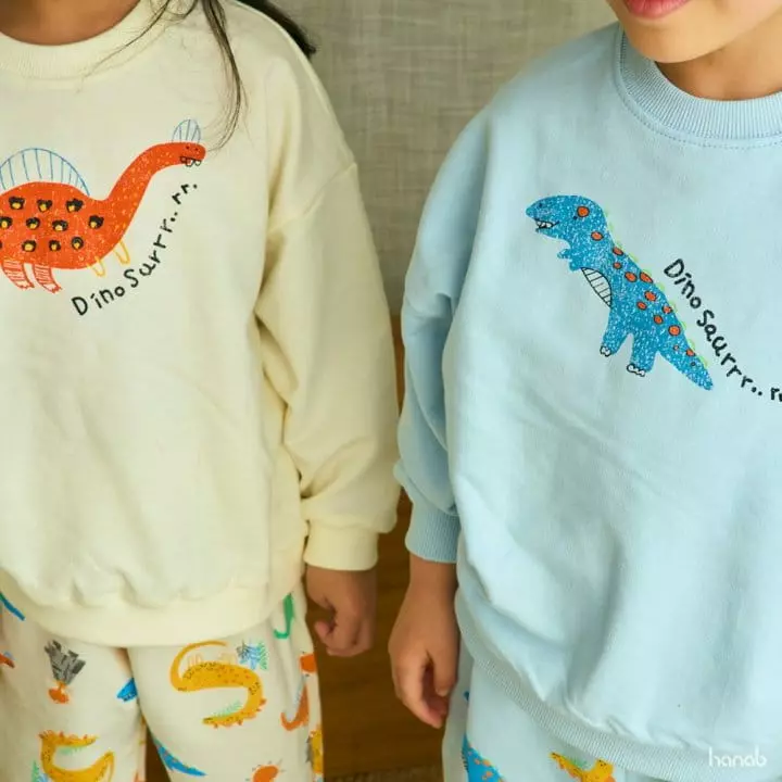 Hanab - Korean Children Fashion - #Kfashion4kids - Dino Top Bottom Set - 5