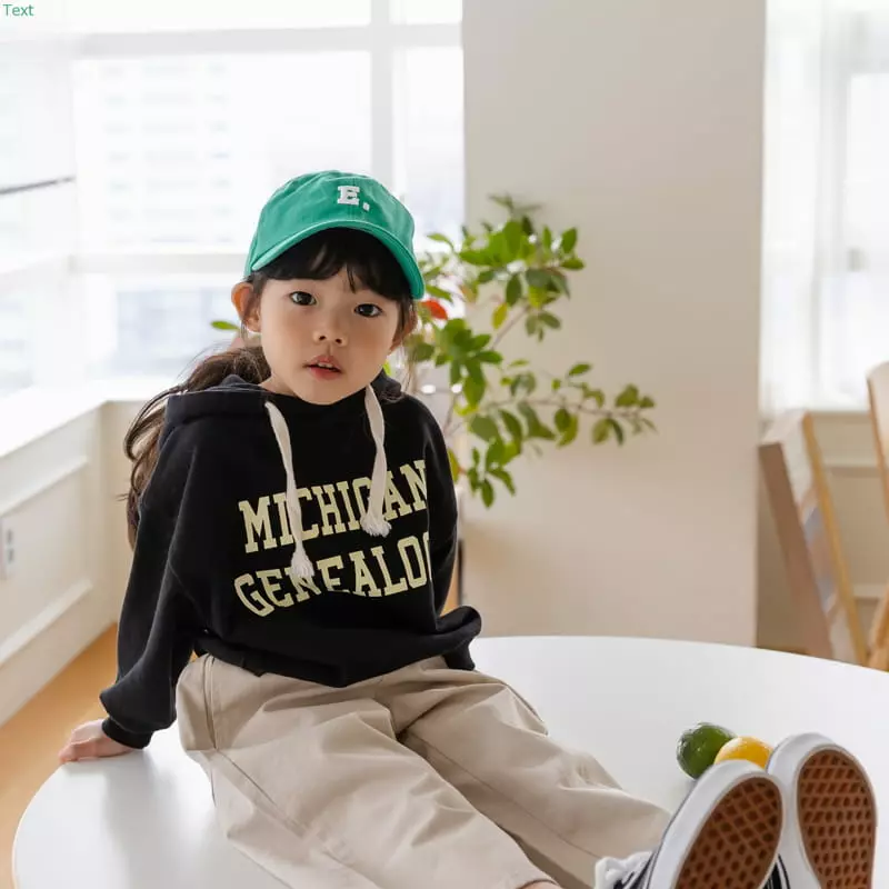 Honeybee - Korean Children Fashion - #minifashionista - Michigan Hoody