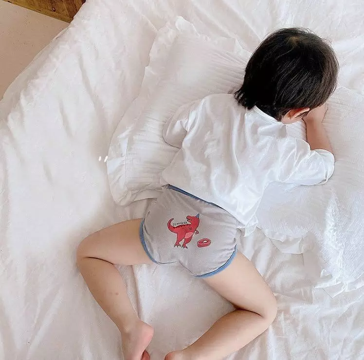 Miso - Korean Children Fashion - #Kfashion4kids - Dino Under Pants Set
