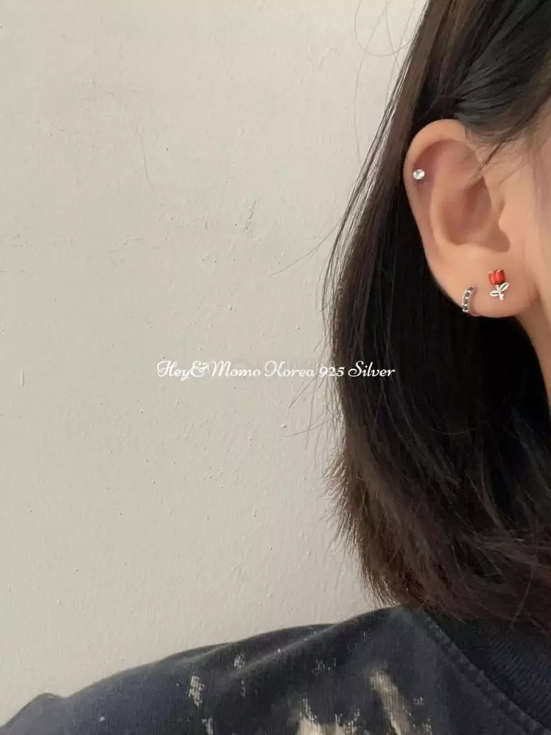 Momo - Korean Women Fashion - #restrostyle - 925 Silver Earrings