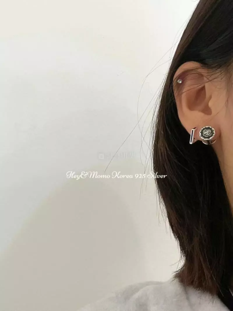 Momo - Korean Women Fashion - #womensfashion - 925 Silver Earrings
