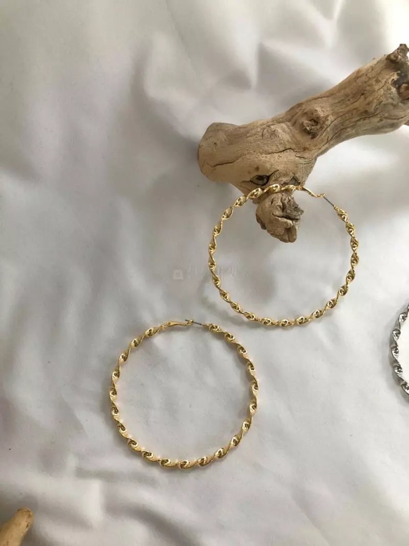 Mood - Korean Women Fashion - #momslook - A1151 Big Twisted Ring Earrings - 2