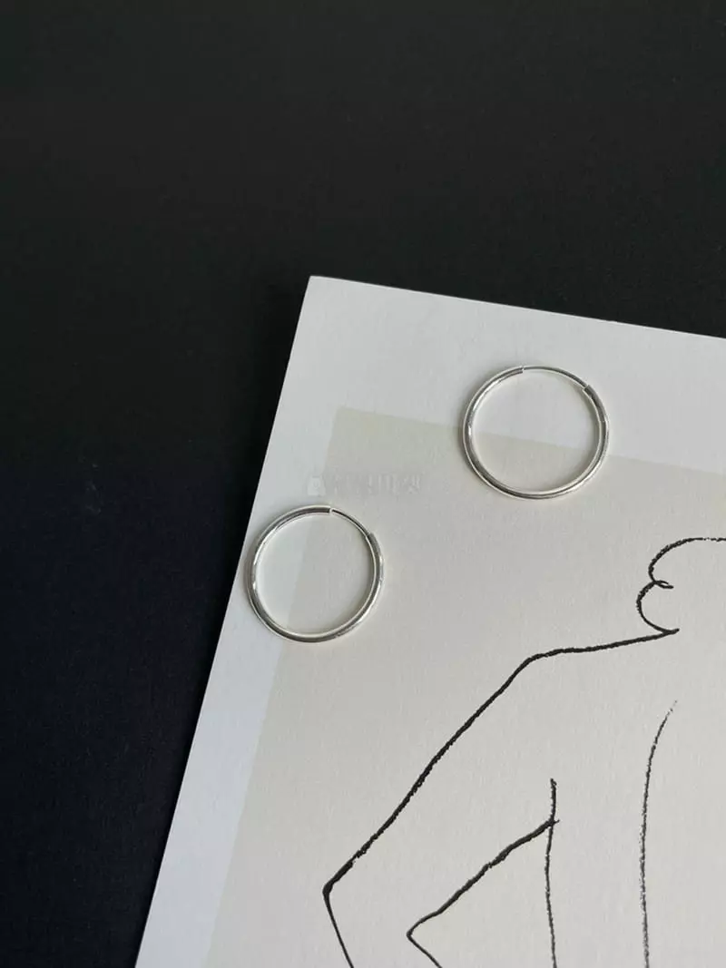 Mood - Korean Women Fashion - #womensfashion - A345 Silver Ring Earrings - 2