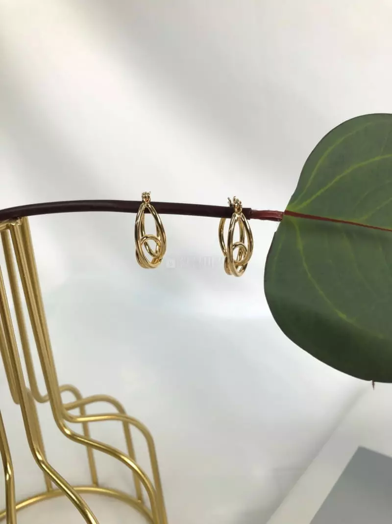 Mood - Korean Women Fashion - #womensfashion - A692 Cross Ring Earrings - 2