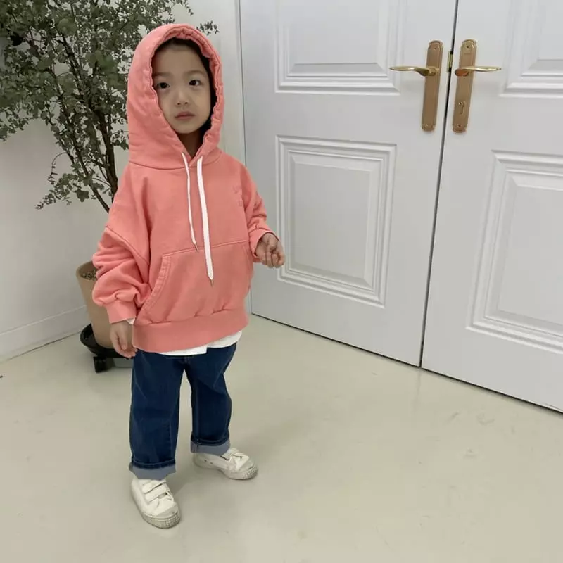 Mooi Store - Korean Children Fashion - #kidzfashiontrend - Pigment Embroidery Hoody
