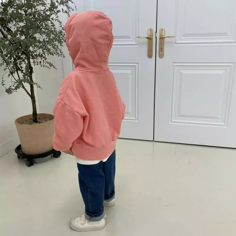 Mooi Store - Korean Children Fashion - #littlefashionista - Pigment Embroidery Hoody - 3