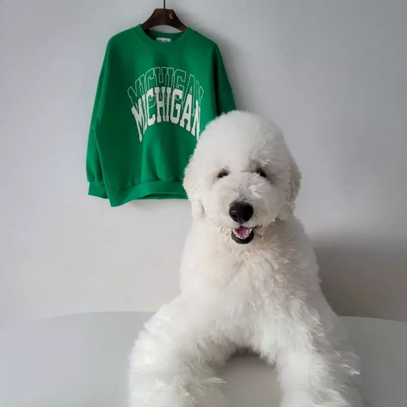 Riwoo Riwoo - Korean Junior Fashion - #minifashionista - Michigan Sweatshirt - 3