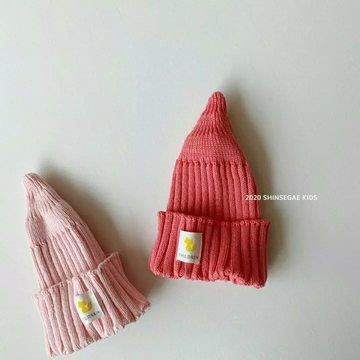 Shinseage Kids - Korean Children Fashion - #childofig - Ua Wapen Beanie - 5