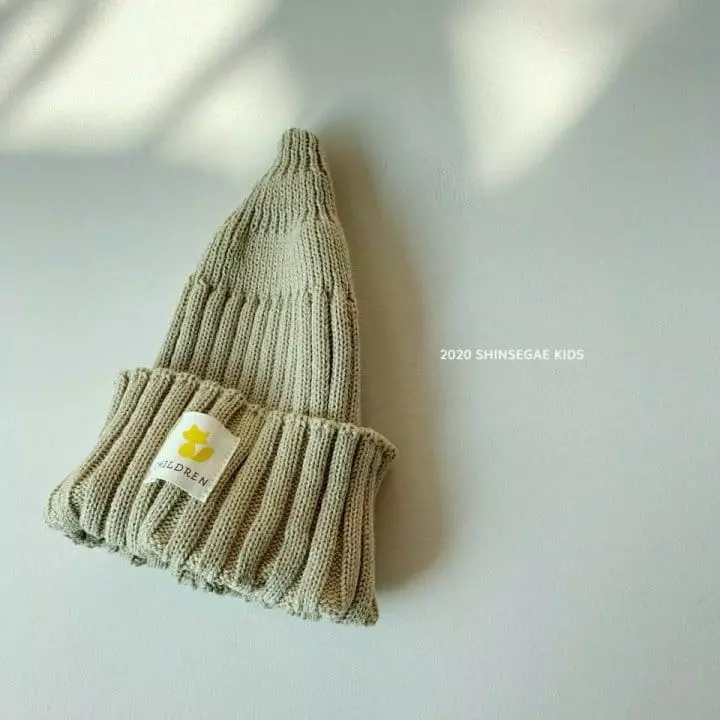Shinseage Kids - Korean Children Fashion - #minifashionista - Ua Wapen Beanie - 2