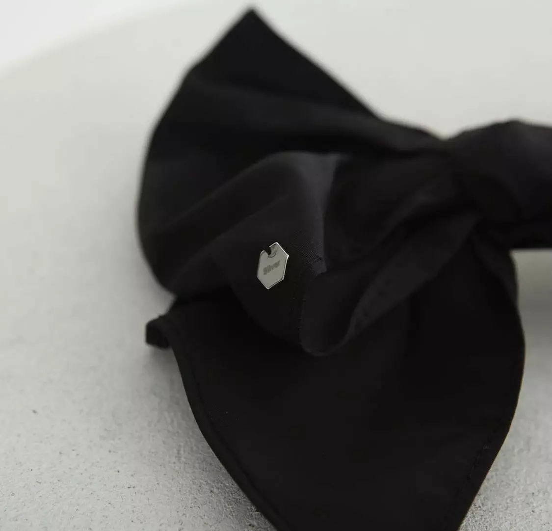 Silver - Korean Women Fashion - #momslook - Ribbon Tie Hairpin - 3