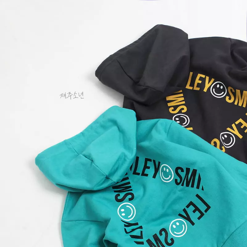 Witty Boy - Korean Children Fashion - #childrensboutique - Milly Hoody