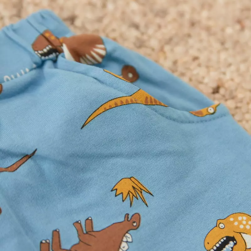 Woodie - Korean Children Fashion - #kidsstore - Dino Top Bottom Set - 7