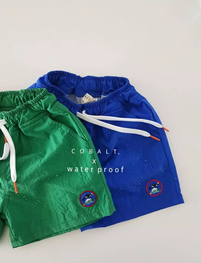 Cobalt - Korean Children Fashion - #kidsshorts - Dolphine Swim Pants - 12