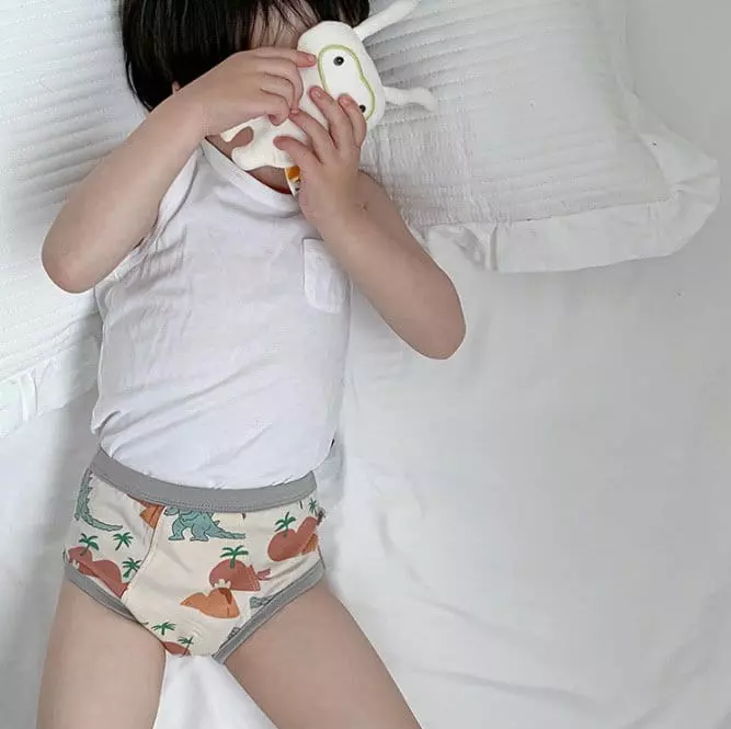 Miso - Korean Children Fashion - #fashionkids - New Dino Underwear - 2