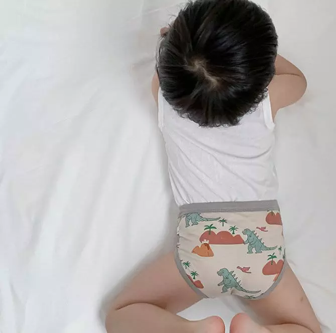Miso - Korean Children Fashion - #kidsshorts - New Dino Underwear - 3