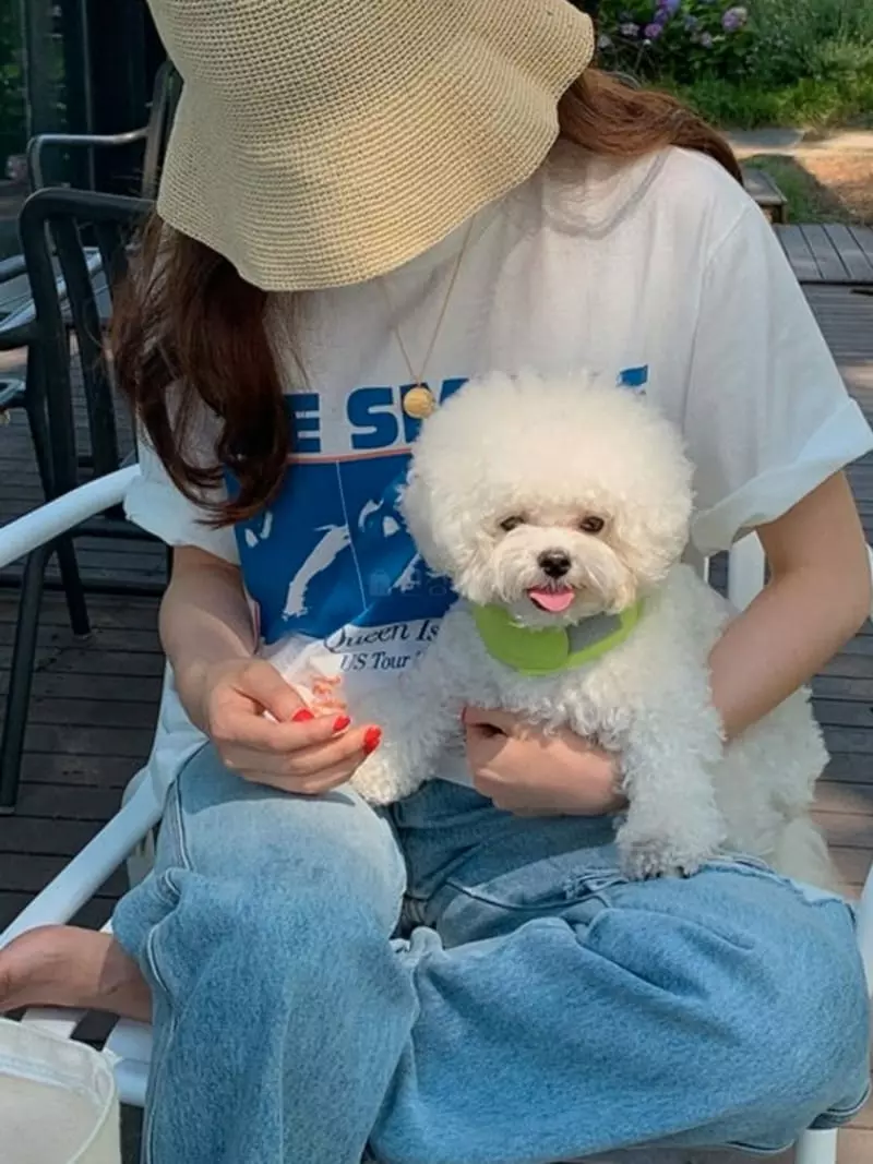 Sllow - Korean Women Fashion - #momslook - Smith Tee
