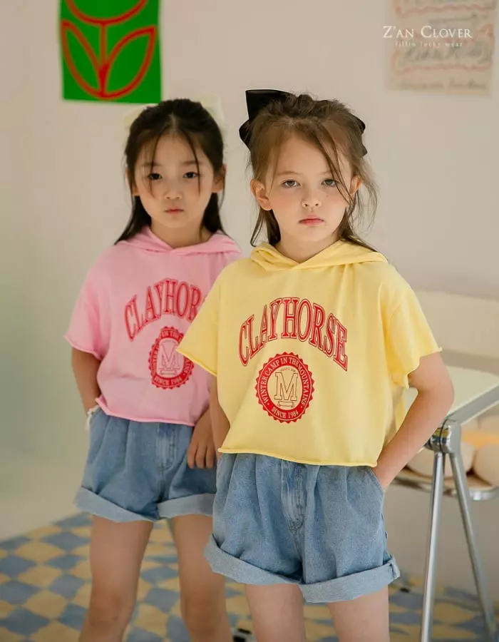 Zan Clover - Korean Children Fashion - #childrensboutique - Clay Short Hoody