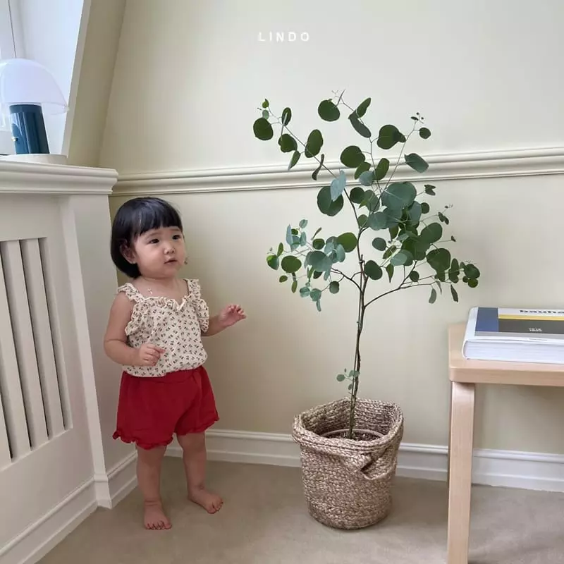 Lindo - Korean Children Fashion - #childofig - Muzi Shorts - 2
