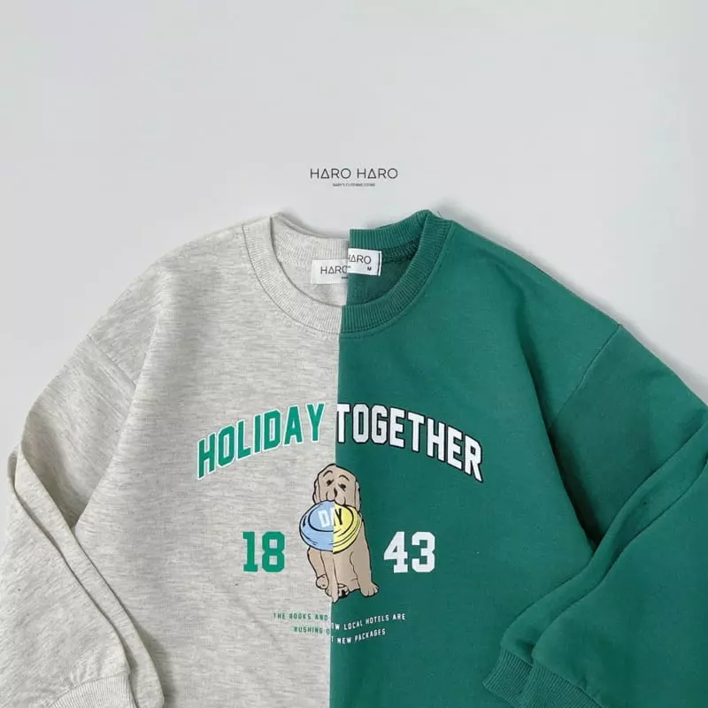 Haro Haro - Korean Children Fashion - #kidzfashiontrend - Petraeus Sweatshirt - 4