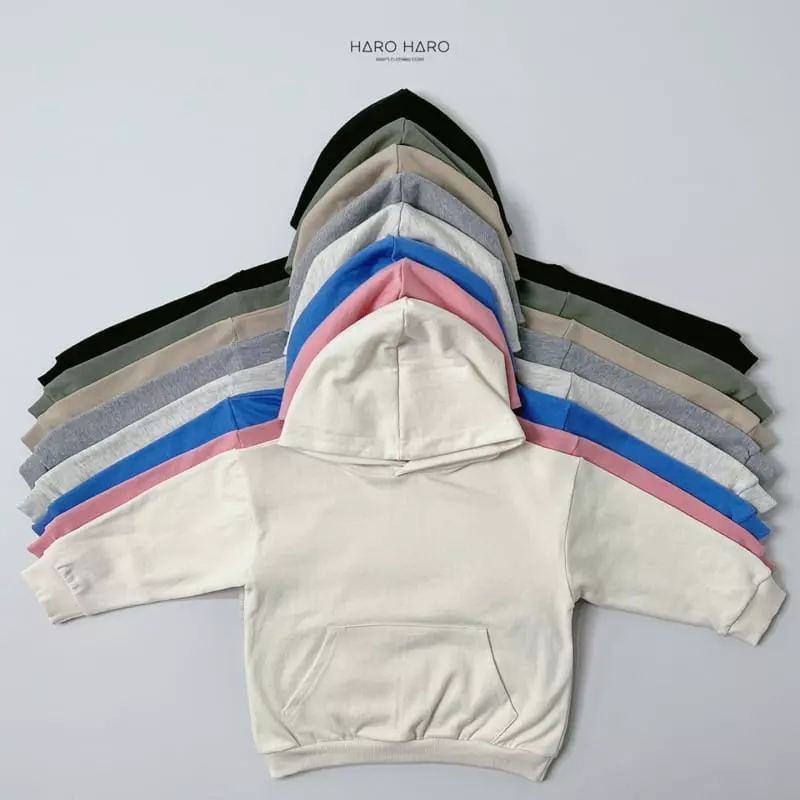 Haro Haro - Korean Children Fashion - #littlefashionista - Everyday Hoody Tee - 3