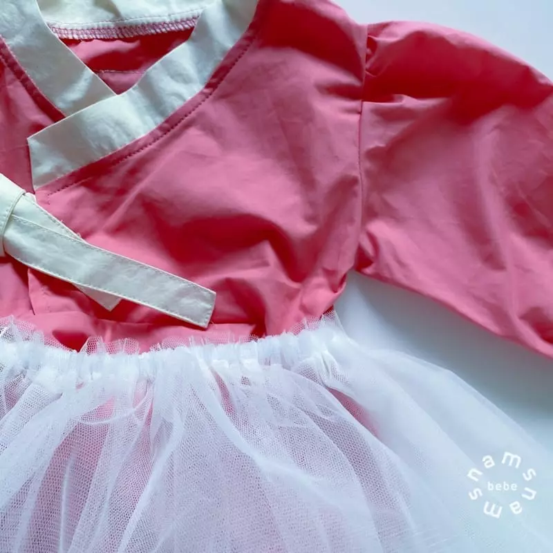 Nams - Korean Baby Fashion - #babygirlfashion - Bebe Crunch Hanbok - 5