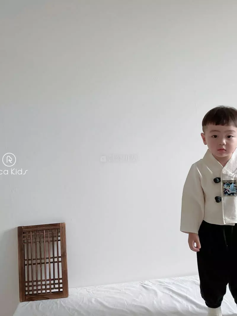 Rica - Korean Children Fashion - #childrensboutique - Embroidery Boy Hanbok - 5