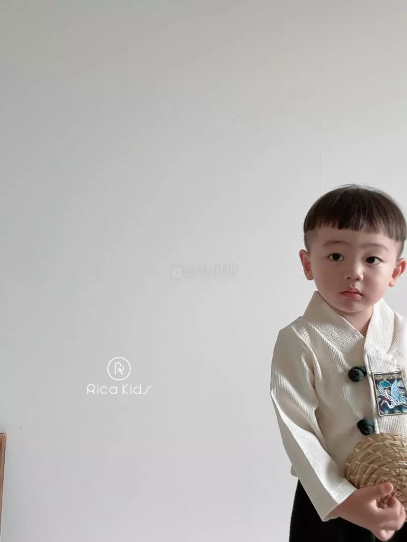 Rica - Korean Children Fashion - #fashionkids - Embroidery Boy Hanbok - 8