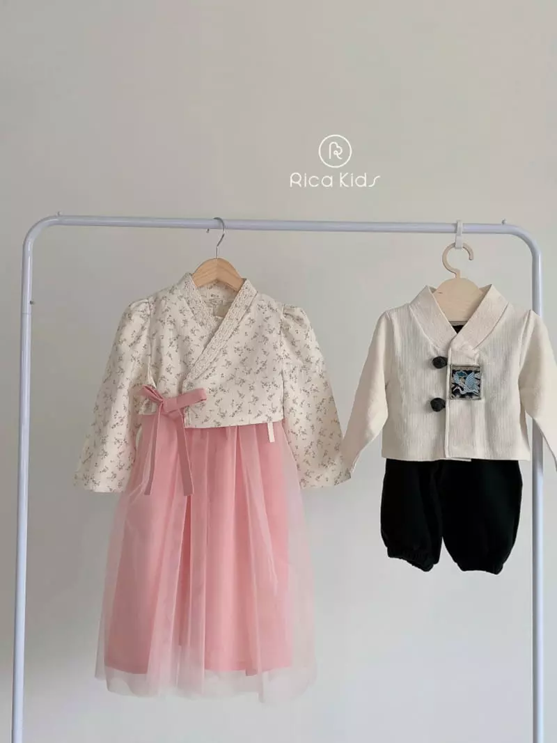 Rica - Korean Children Fashion - #kidzfashiontrend - Embroidery Boy Hanbok - 11