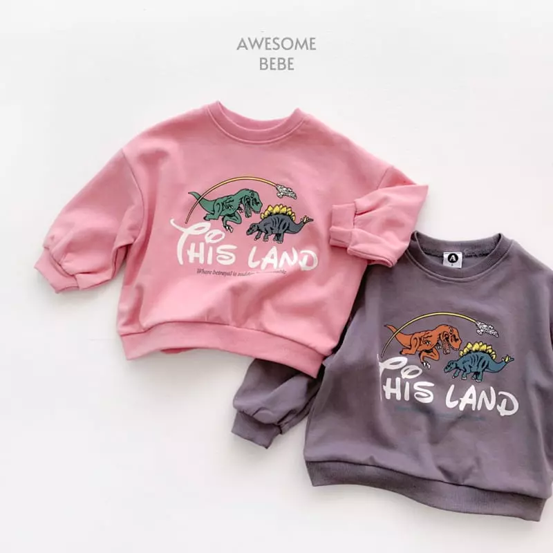 Awesome Bebe - Korean Children Fashion - #prettylittlegirls - These Land Sweatshirt