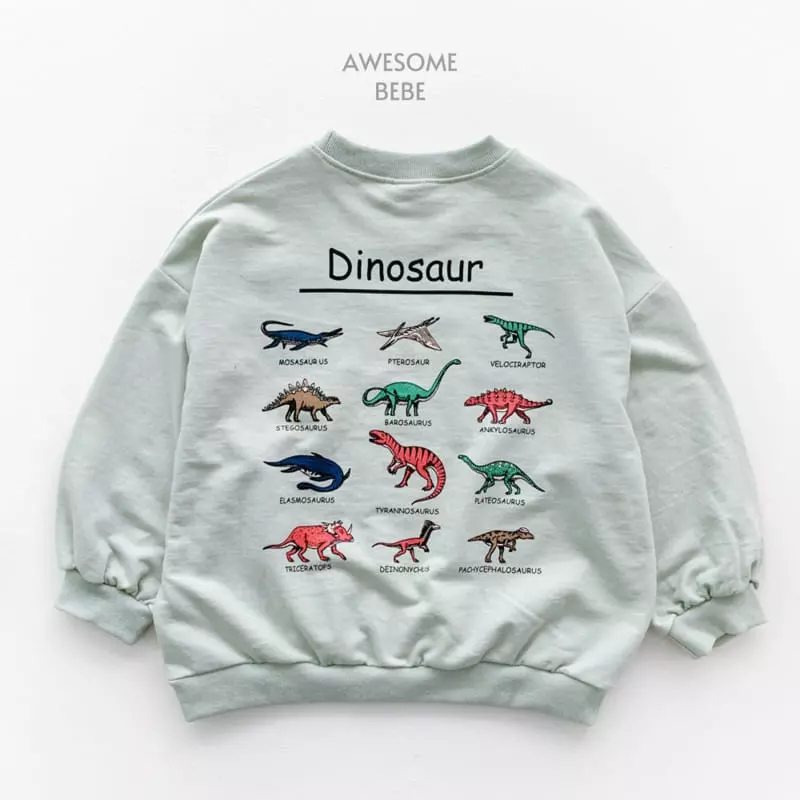 Awesome Bebe - Korean Children Fashion - #prettylittlegirls - Dino Sweatshirt - 12