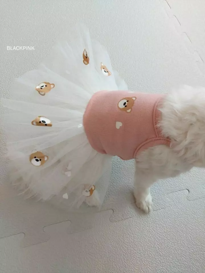 Black Pink - Korean Children Fashion - #designkidswear - Baby Bear Pet Wear  - 5
