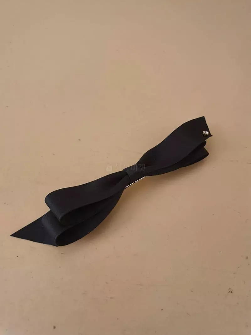 Blancchouette - Korean Women Fashion - #womensfashion - Czech Ribbon Hairpin - 2