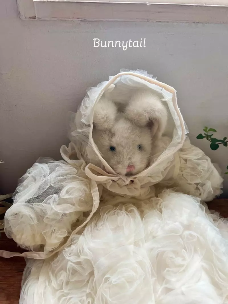 Bunnytail - Korean Children Fashion - #discoveringself - Rose Tutu Bodysuit - 3