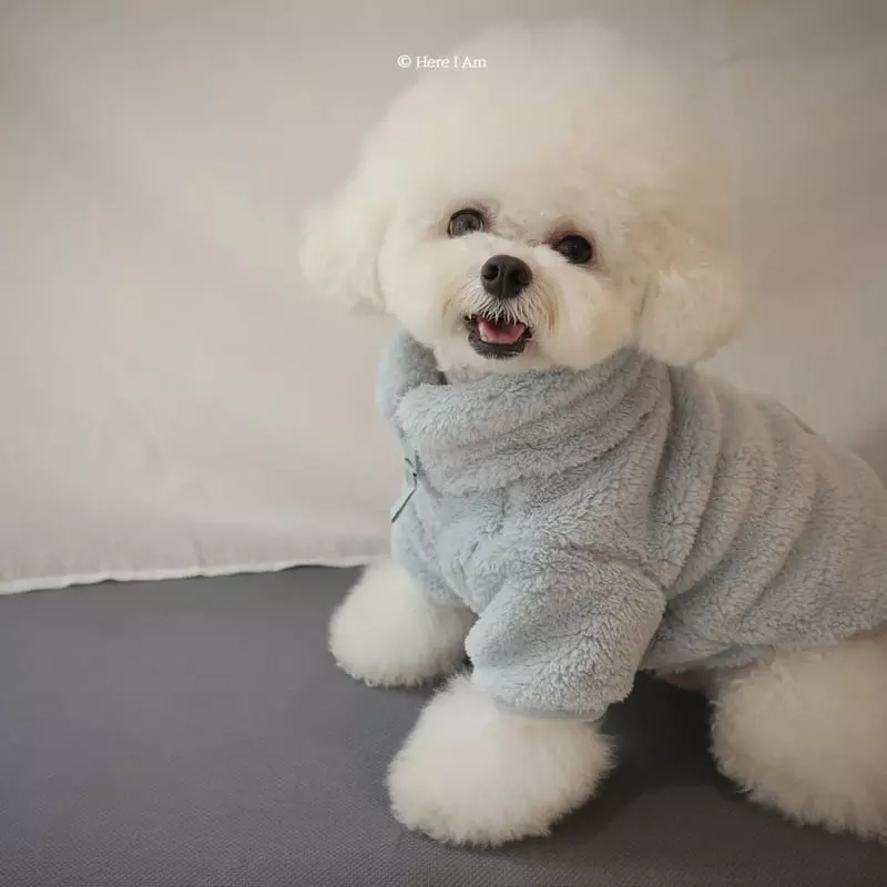 Here I Am - Korean Children Fashion - #Kfashion4kids - Kinder Fleece Pet Wear - 3