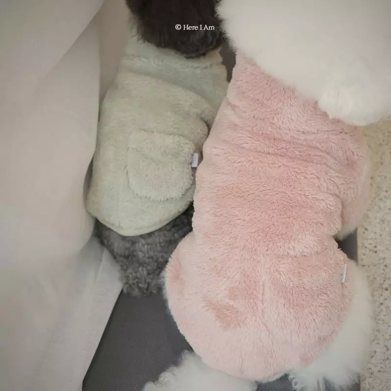 Here I Am - Korean Children Fashion - #childrensboutique - Kinder Fleece Pet Wear - 12