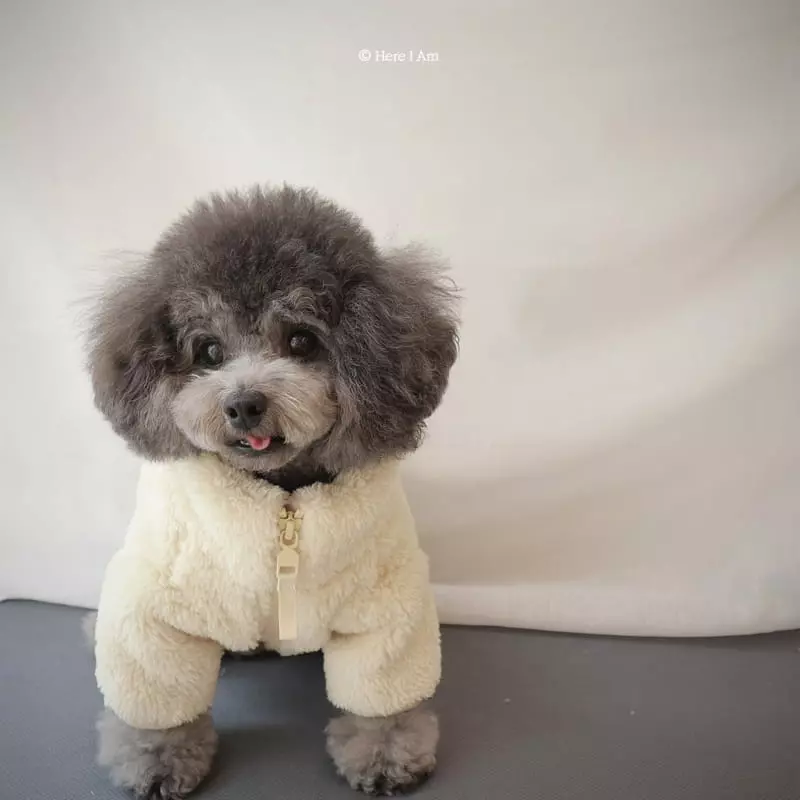 Here I Am - Korean Children Fashion - #kidsstore - Kinder Fleece Pet Wear