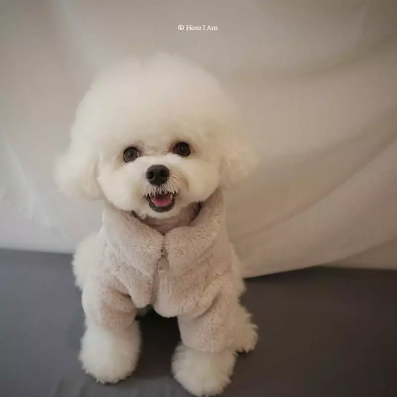 Here I Am - Korean Children Fashion - #kidzfashiontrend - Kinder Fleece Pet Wear - 2