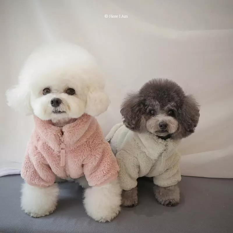 Here I Am - Korean Children Fashion - #Kfashion4kids - Kinder Fleece Pet Wear - 4