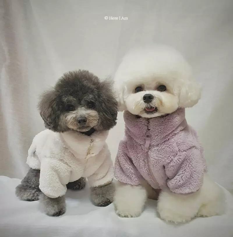 Here I Am - Korean Children Fashion - #magicofchildhood - Kinder Fleece Pet Wear - 5
