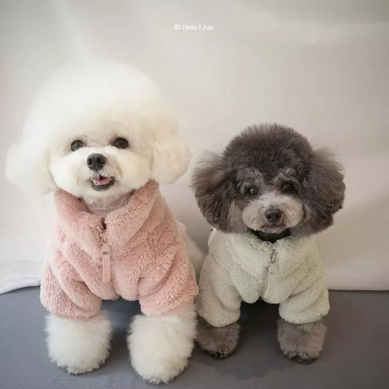 Here I Am - Korean Children Fashion - #prettylittlegirls - Kinder Fleece Pet Wear - 7