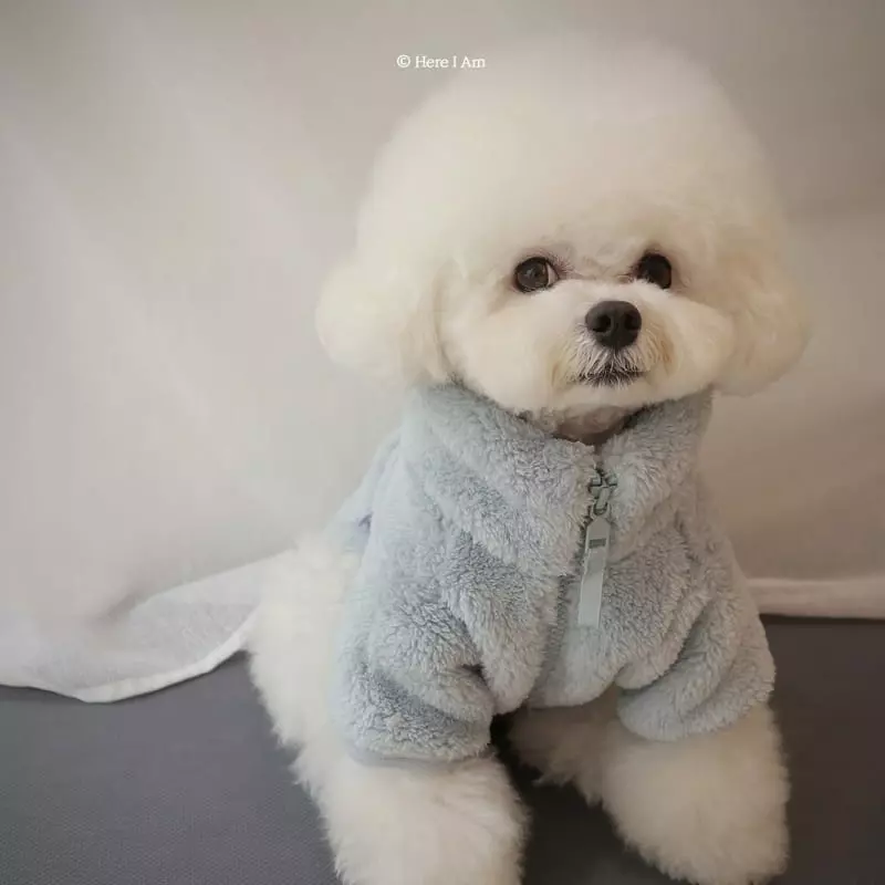 Here I Am - Korean Children Fashion - #stylishchildhood - Kinder Fleece Pet Wear - 10